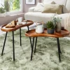 Couchtisch 2-teilig Massivholz Satztische Wohnzimmertisch Nierentisch Holz-Tisch